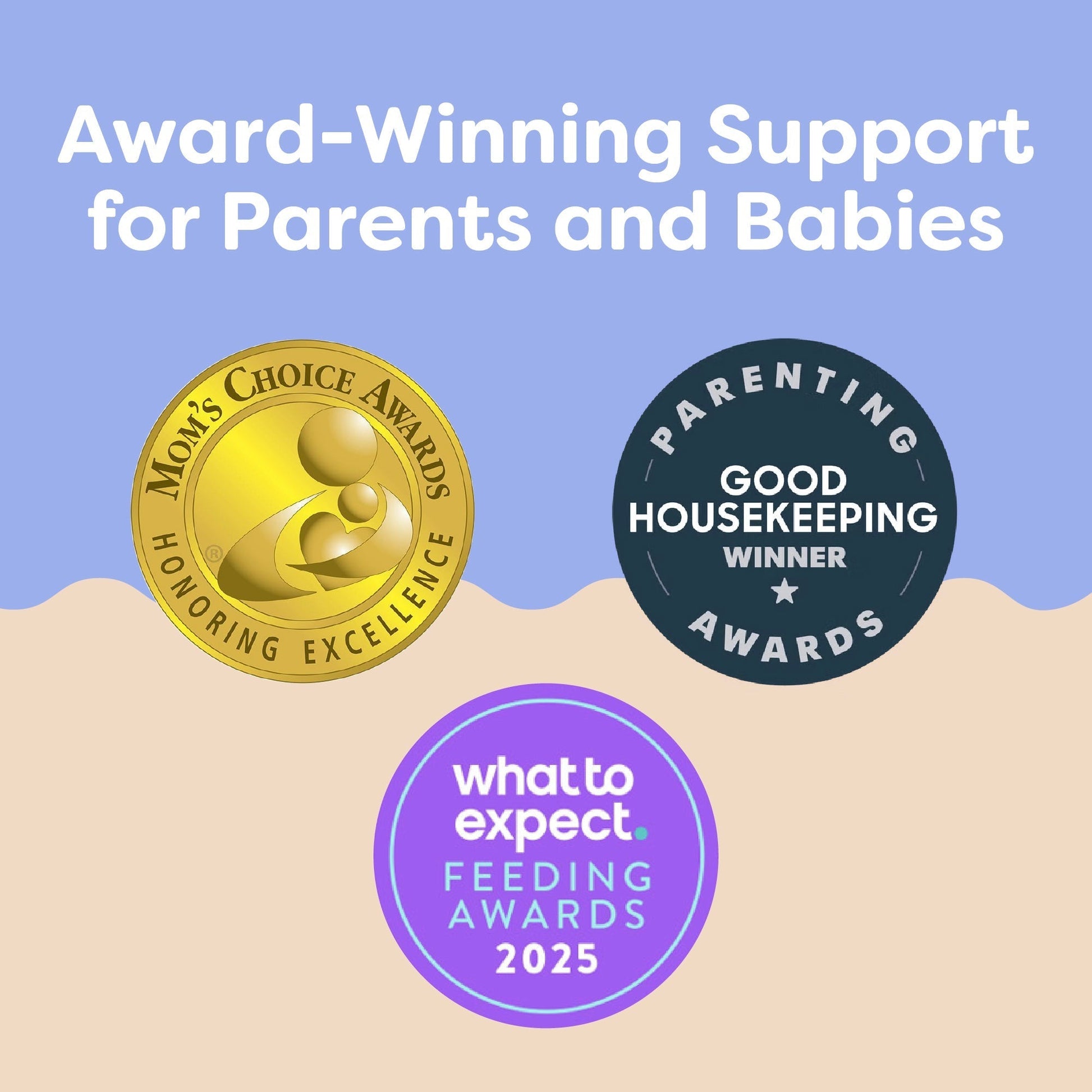 Boppy Nursing Pillow