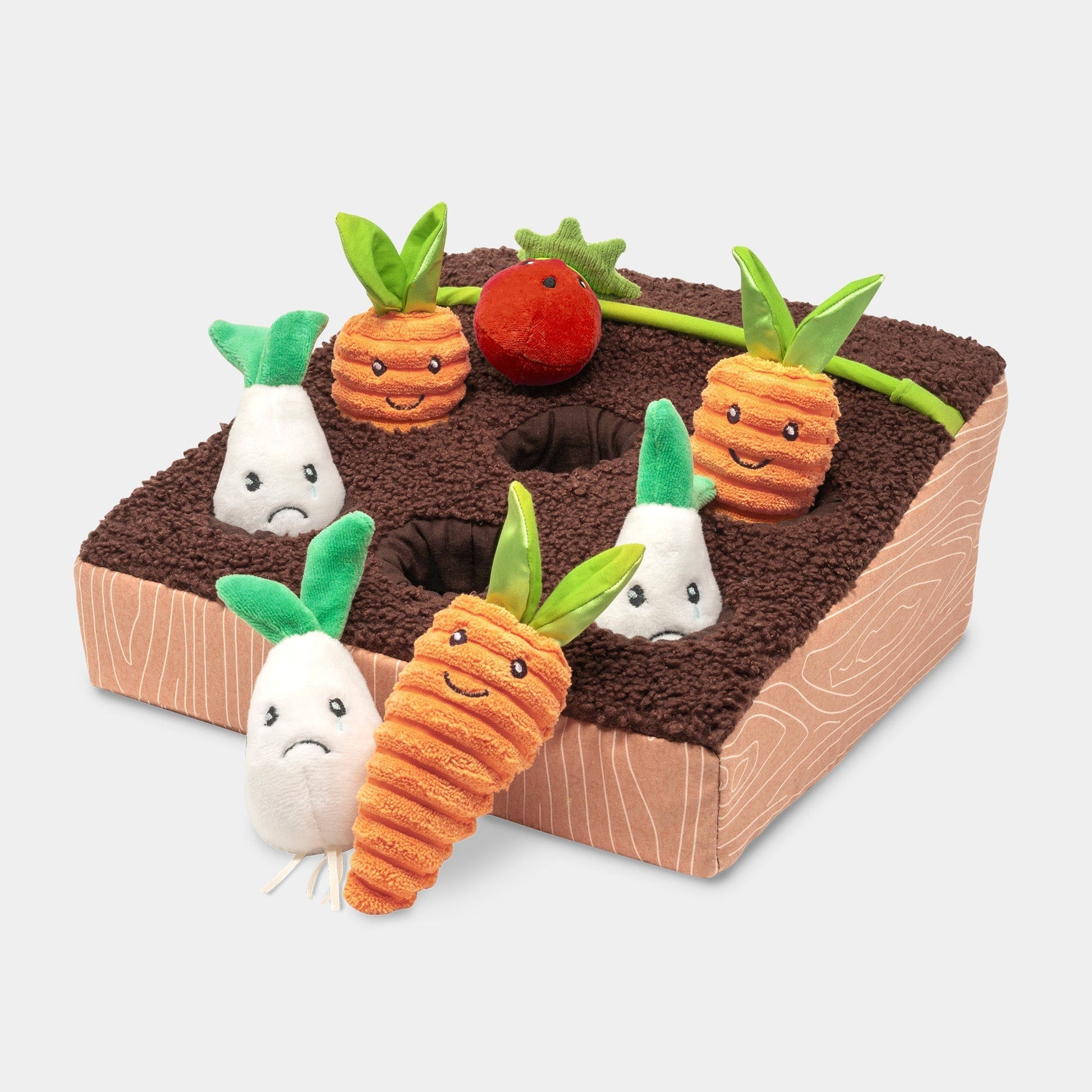 Learn and Grow Garden